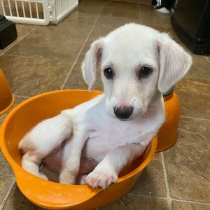 Meet your Posher, Carly